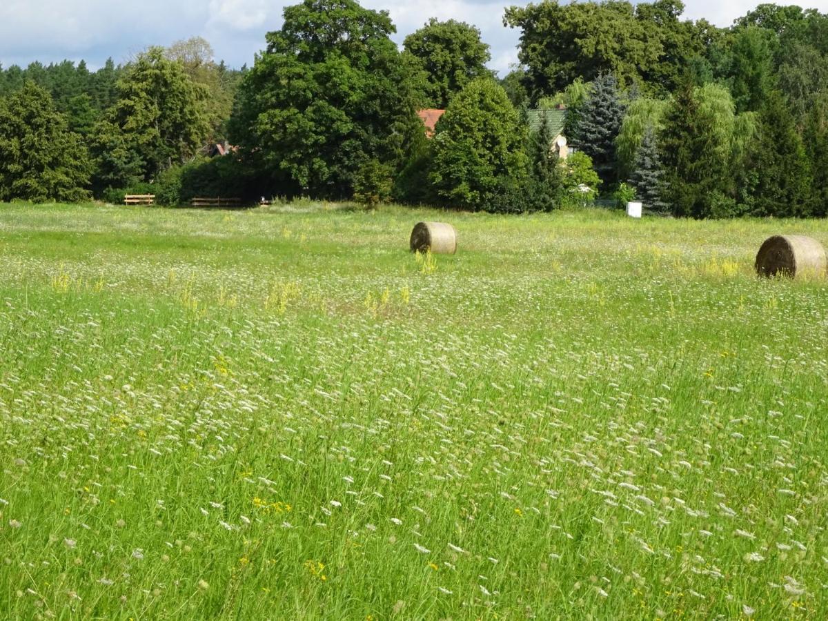 Ferienanlage Waschbaer Country Templin Exteriér fotografie