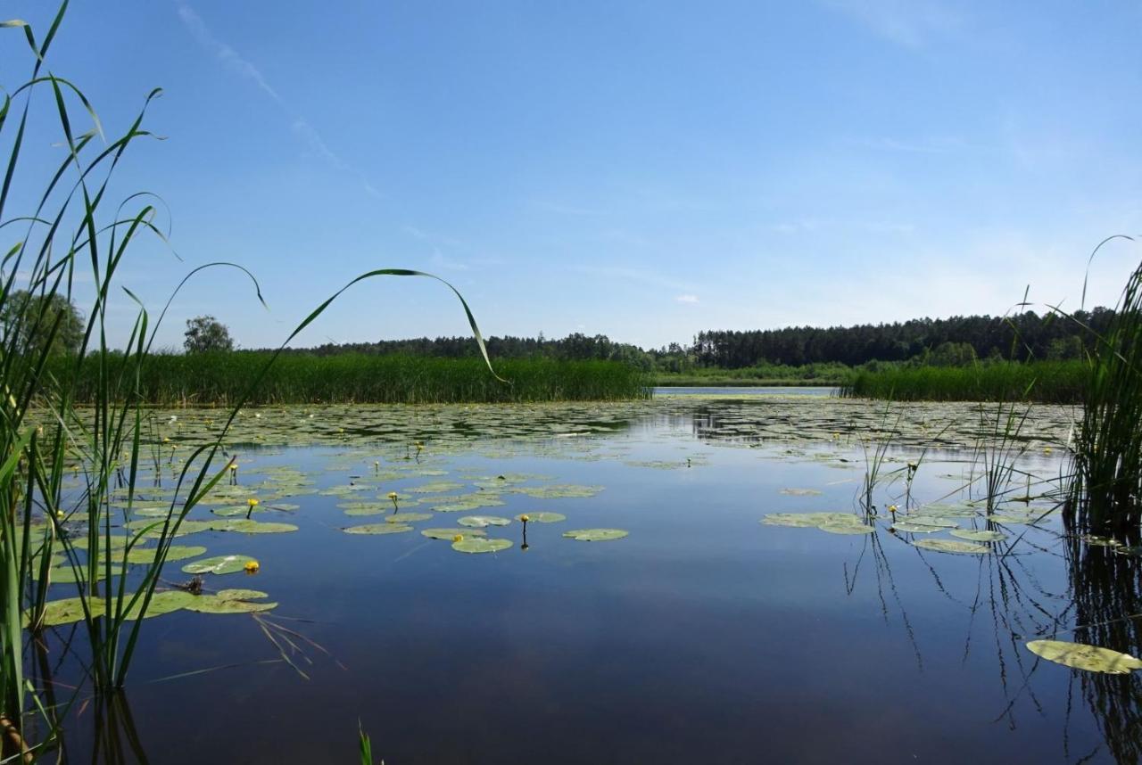 Ferienanlage Waschbaer Country Templin Exteriér fotografie