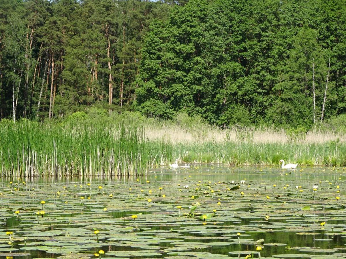 Ferienanlage Waschbaer Country Templin Exteriér fotografie
