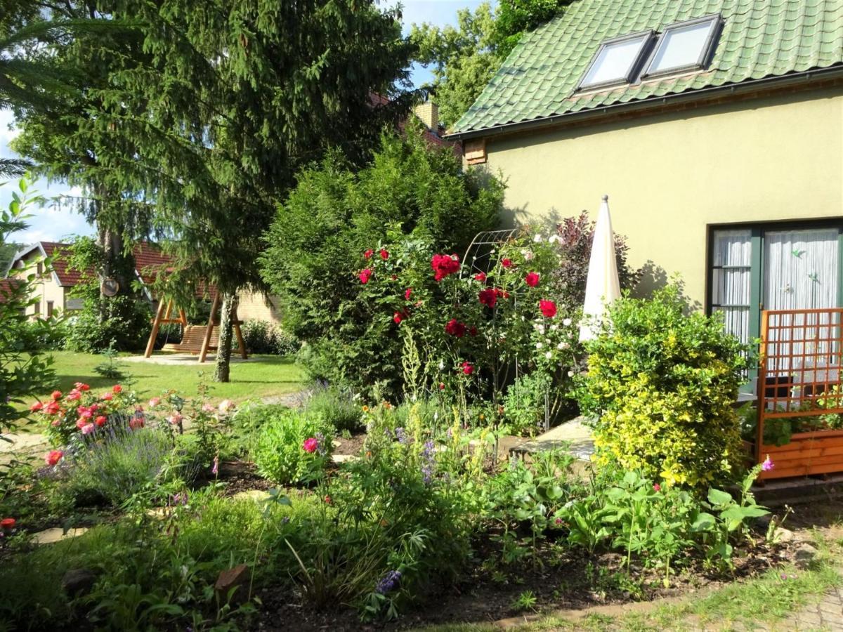 Ferienanlage Waschbaer Country Templin Exteriér fotografie